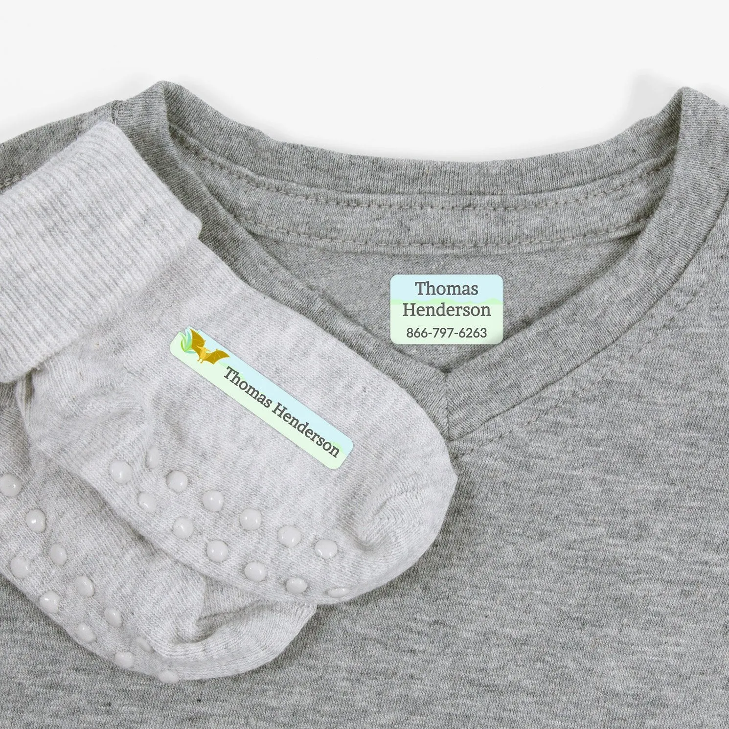 Dinosaurs Iron-On Clothing Labels Pack